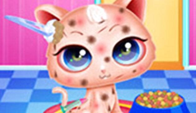 Милая Китти забота Преображение питомца