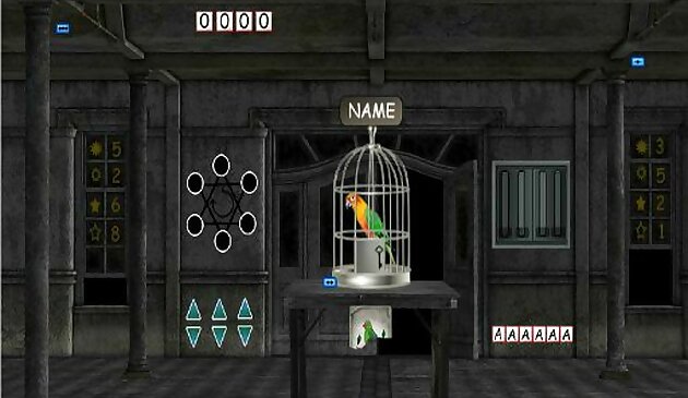 Побег попугаев