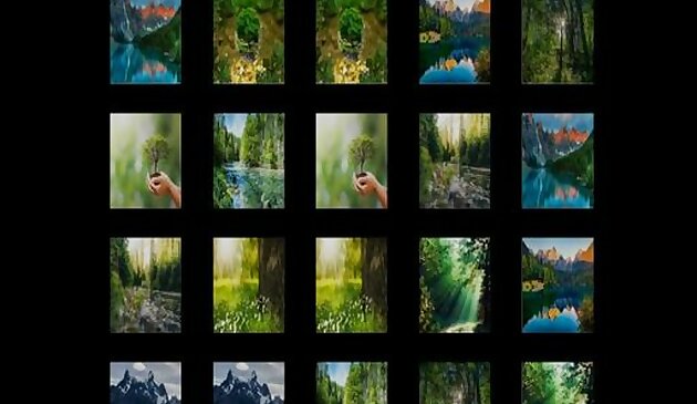 Запомнить природу