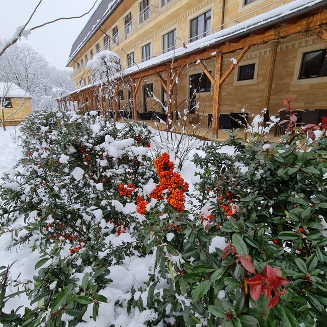 В «Термах» Александра Удодова на праздниках оздоровились более 1300 гостей