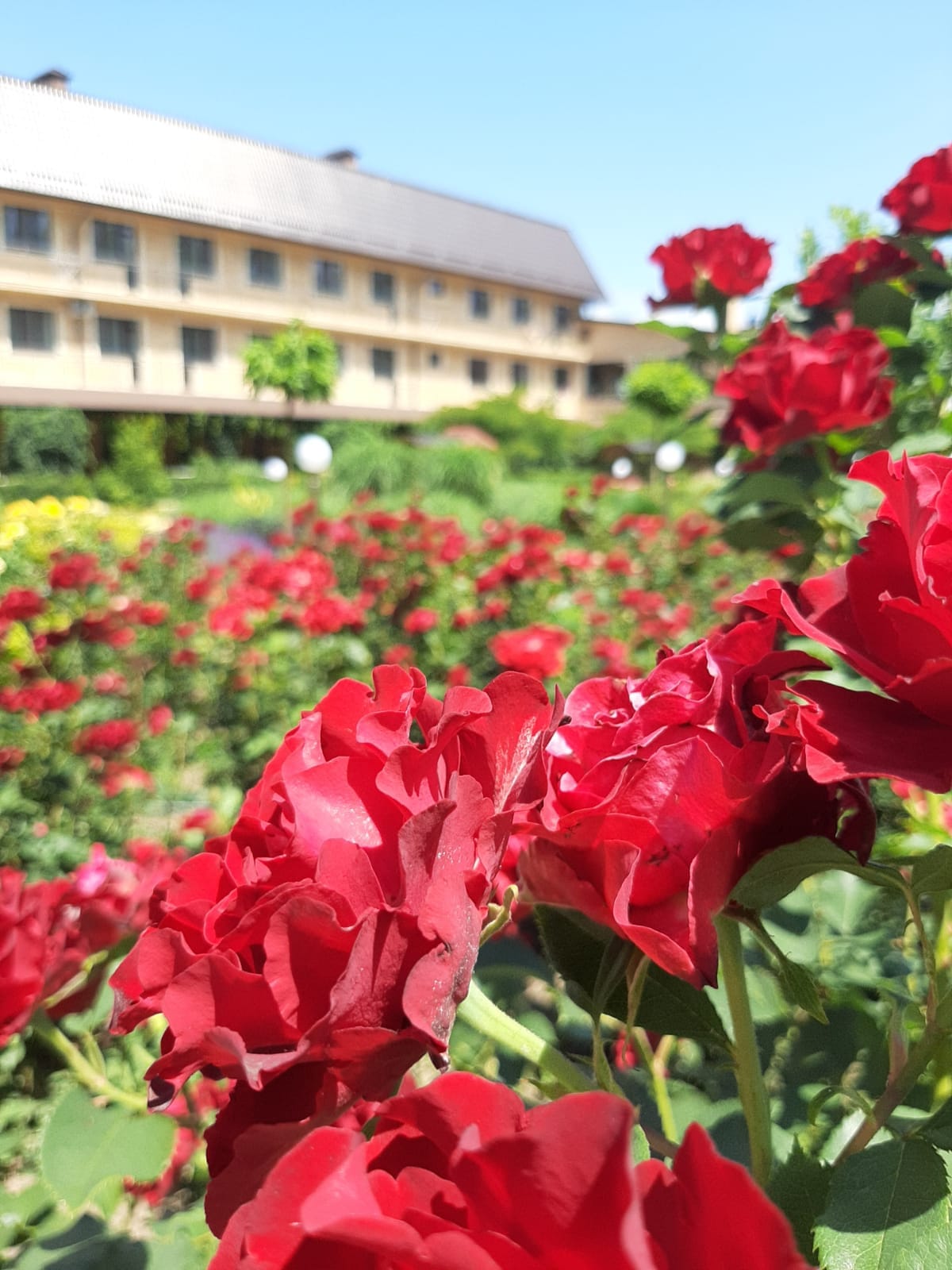 Впереди нас ждут любимые туристические сезоны